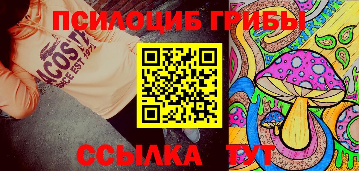 где можно купить наркотик  Псилоцибиновые грибы Psilocybine cubensis  Вход с VPN  Волжский 